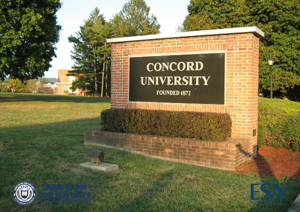 Chương trình cử nhân Liên kết với Đại học Concord (Hoa Kỳ)